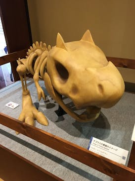 国立科学博物館　特別企画展「ポケモン化石博物館」に投稿された画像（2022/3/31）