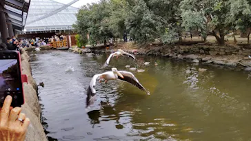 神戸どうぶつ王国に投稿された画像（2022/3/31）