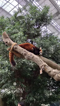 神戸どうぶつ王国に投稿された画像（2022/3/31）