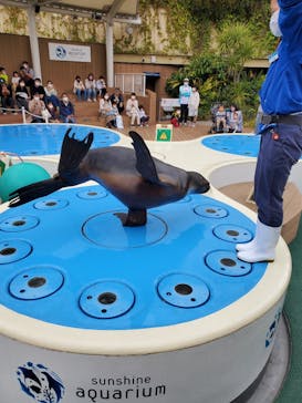 サンシャイン水族館に投稿された画像（2022/3/31）