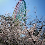 ひらかたパークに投稿された画像（2022/3/31）