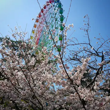 ひらかたパークに投稿された画像（2022/3/31）