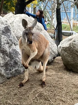 神戸どうぶつ王国に投稿された画像（2022/3/31）
