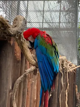 神戸どうぶつ王国に投稿された画像（2022/3/31）