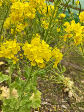 神戸どうぶつ王国に投稿された画像（2022/3/31）