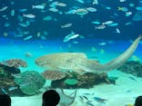 サンシャイン水族館に投稿された画像（2022/3/31）