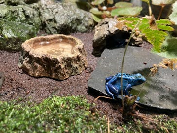 サンシャイン水族館に投稿された画像（2022/3/31）