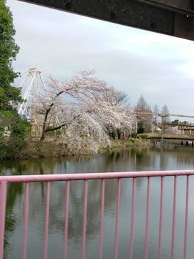東武動物公園に投稿された画像（2022/3/31）