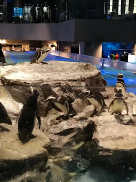 すみだ水族館に投稿された画像（2022/3/31）