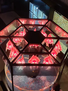 すみだ水族館に投稿された画像（2022/3/31）