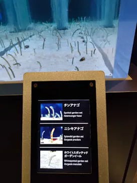 すみだ水族館に投稿された画像（2022/3/31）