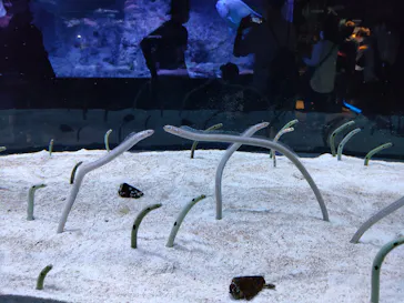 すみだ水族館に投稿された画像（2022/3/31）