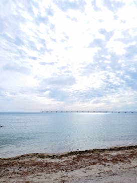 ラド観光 沖縄営業所に投稿された画像（2022/3/30）