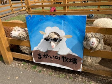 まかいの牧場に投稿された画像（2022/3/31）