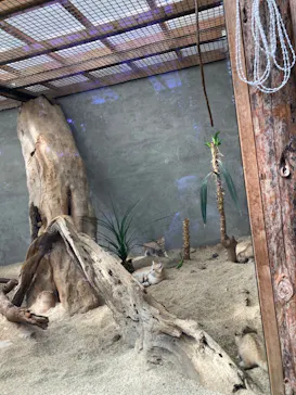 神戸どうぶつ王国に投稿された画像（2022/3/31）