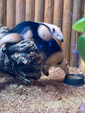 神戸どうぶつ王国に投稿された画像（2022/3/31）