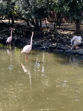 神戸どうぶつ王国に投稿された画像（2022/3/31）