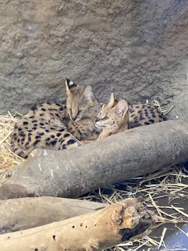神戸どうぶつ王国に投稿された画像（2022/3/31）
