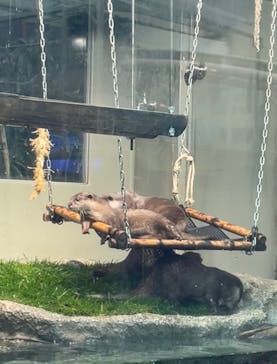 サンシャイン水族館に投稿された画像（2022/3/31）