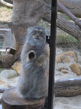 那須どうぶつ王国に投稿された画像（2022/3/31）