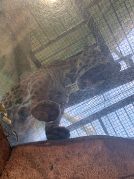 那須どうぶつ王国に投稿された画像（2022/3/31）