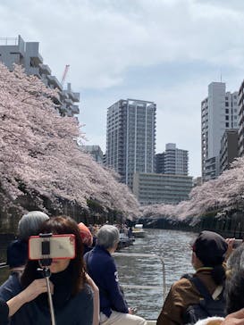 東京ウォータウェイズに投稿された画像（2022/3/31）
