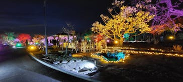 せんだい農業園芸センター　みどりの杜に投稿された画像（2022/3/31）