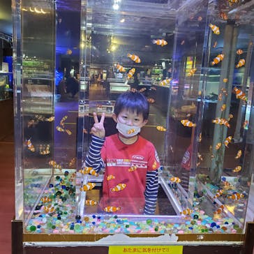 ゼロ距離水族館 伊勢シーパラダイスに投稿された画像（2022/3/31）