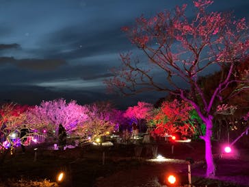 せんだい農業園芸センター　みどりの杜に投稿された画像（2022/3/31）