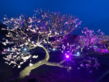 せんだい農業園芸センター　みどりの杜に投稿された画像（2022/3/31）