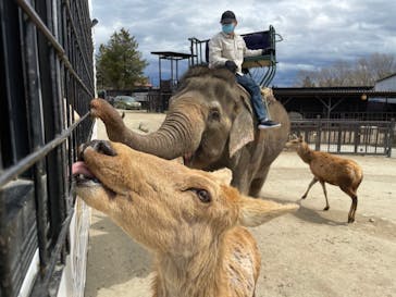 那須サファリパークに投稿された画像（2022/3/31）