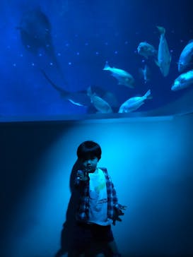 大分マリーンパレス水族館 「うみたまご」に投稿された画像（2022/3/31）
