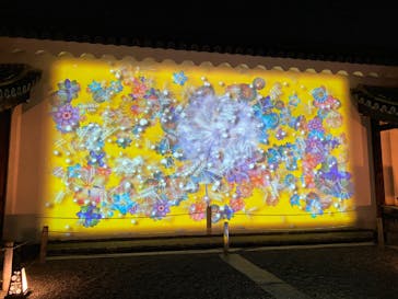 NAKED FLOWERS 2022 -桜- 世界遺産・二条城に投稿された画像（2022/3/31）