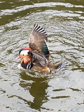神戸どうぶつ王国に投稿された画像（2022/3/31）