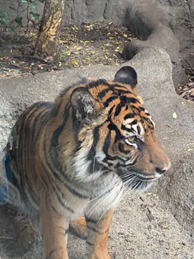 神戸どうぶつ王国に投稿された画像（2022/3/31）