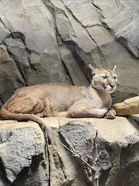 神戸どうぶつ王国に投稿された画像（2022/3/31）