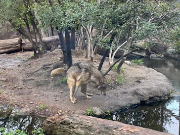 神戸どうぶつ王国に投稿された画像（2022/3/31）