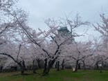 大阪城公園 西の丸庭園に投稿された画像（2022/3/31）