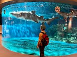 しながわ水族館に投稿された画像（2022/3/31）