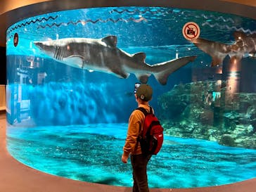 しながわ水族館に投稿された画像（2022/3/31）