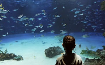 サンシャイン水族館に投稿された画像（2022/3/31）