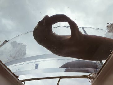 サンシャイン水族館に投稿された画像（2022/3/31）