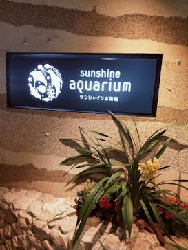 サンシャイン水族館に投稿された画像（2022/3/31）