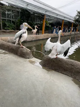 神戸どうぶつ王国に投稿された画像（2022/3/31）