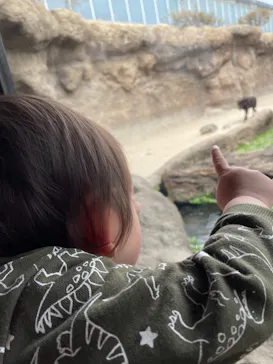 神戸どうぶつ王国に投稿された画像（2022/3/31）