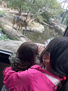 神戸どうぶつ王国に投稿された画像（2022/3/31）