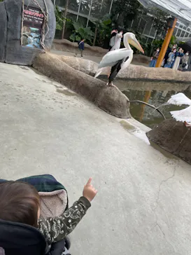 神戸どうぶつ王国に投稿された画像（2022/3/31）