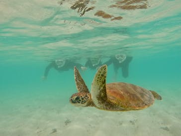 サマーリゾート宮古島に投稿された画像（2022/3/31）