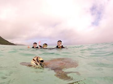 サマーリゾート宮古島に投稿された画像（2022/3/31）