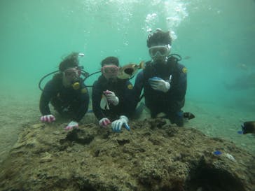 武藤潜水に投稿された画像（2022/4/1）